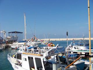 Immagine allegata alla scheda. Per averne una descrizione leggere i dettagli più in basso.